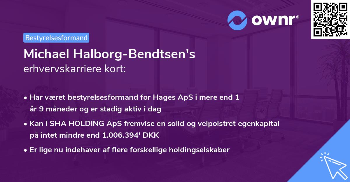 Michael Halborg-Bendtsen's erhvervskarriere kort