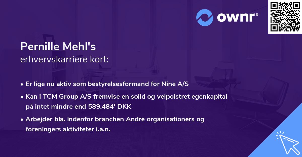 Pernille Mehl's erhvervskarriere kort