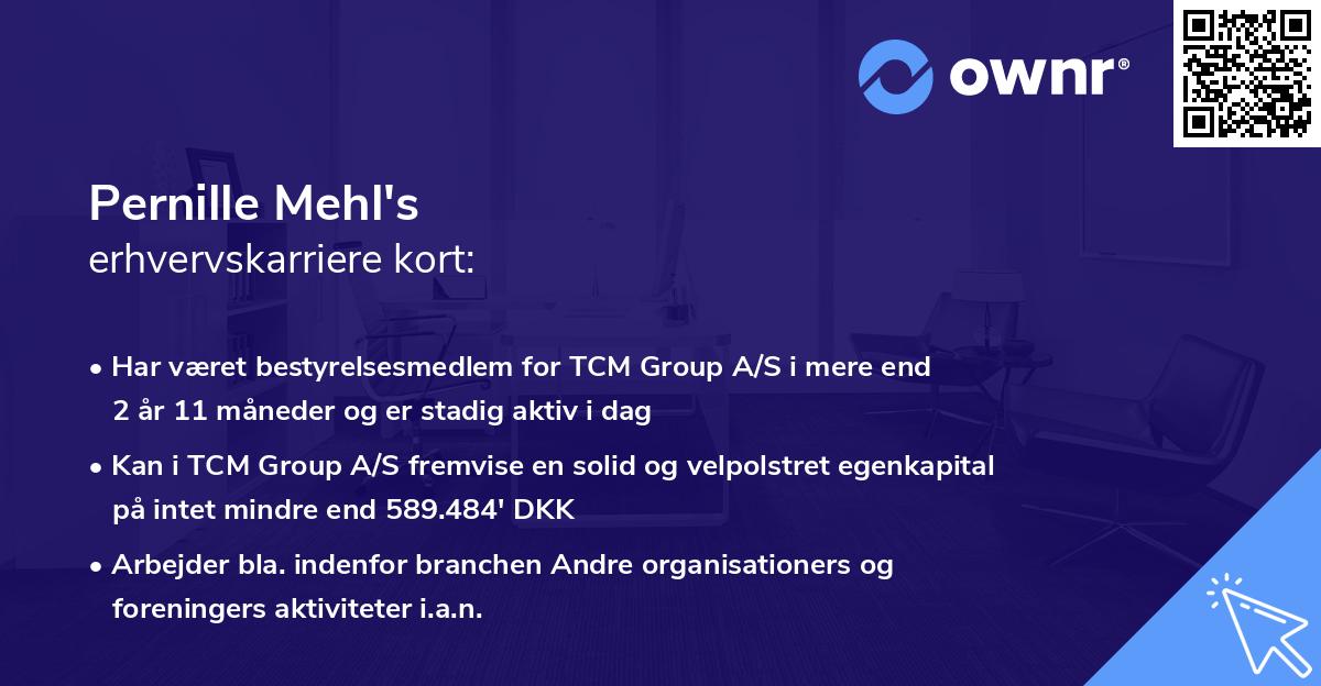 Pernille Mehl's erhvervskarriere kort