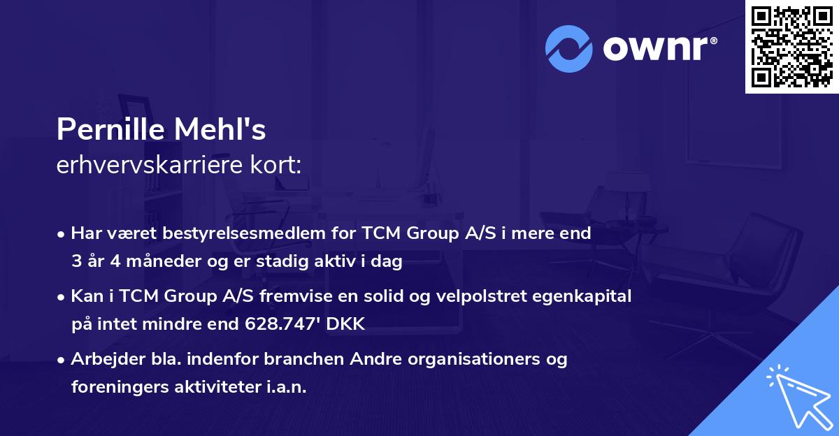 Pernille Mehl's erhvervskarriere kort