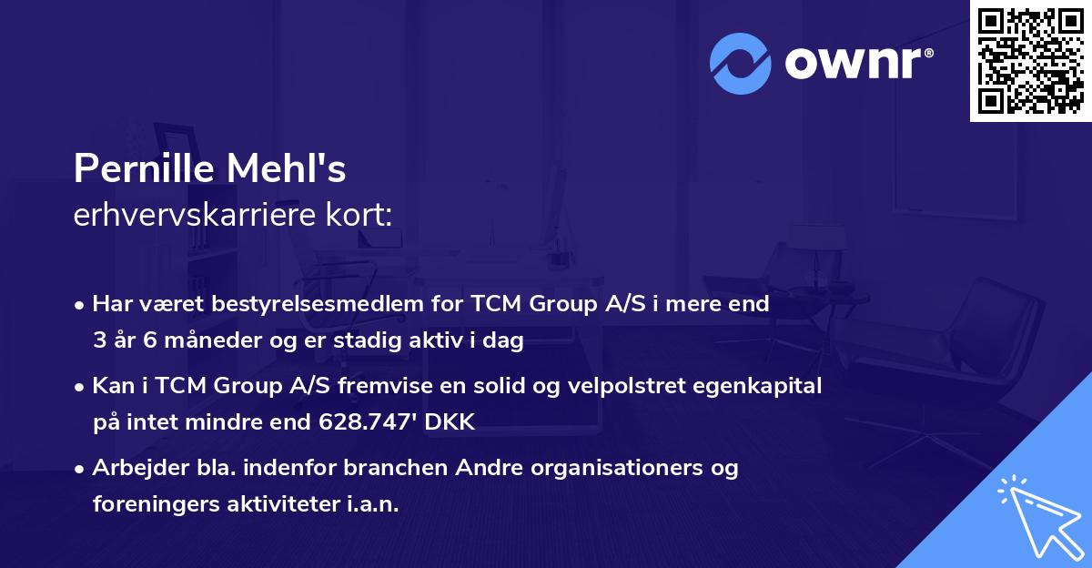Pernille Mehl's erhvervskarriere kort