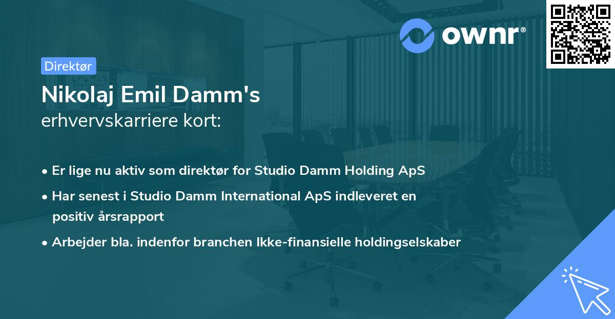 Nikolaj Emil Damm's erhvervskarriere kort