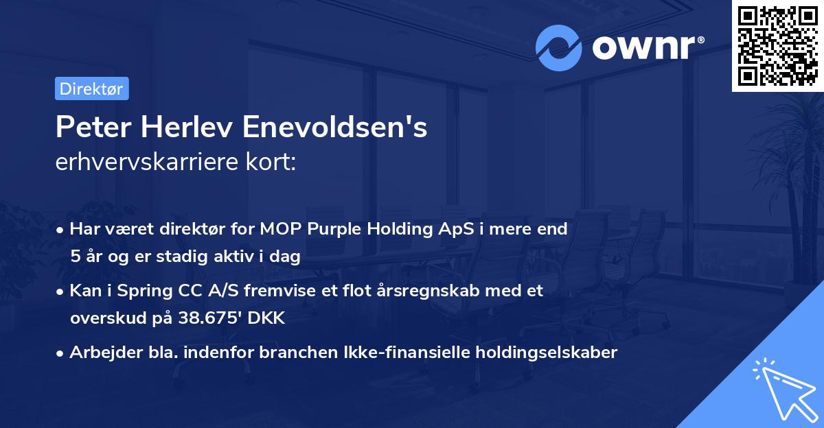 Peter Herlev Enevoldsen's erhvervskarriere kort
