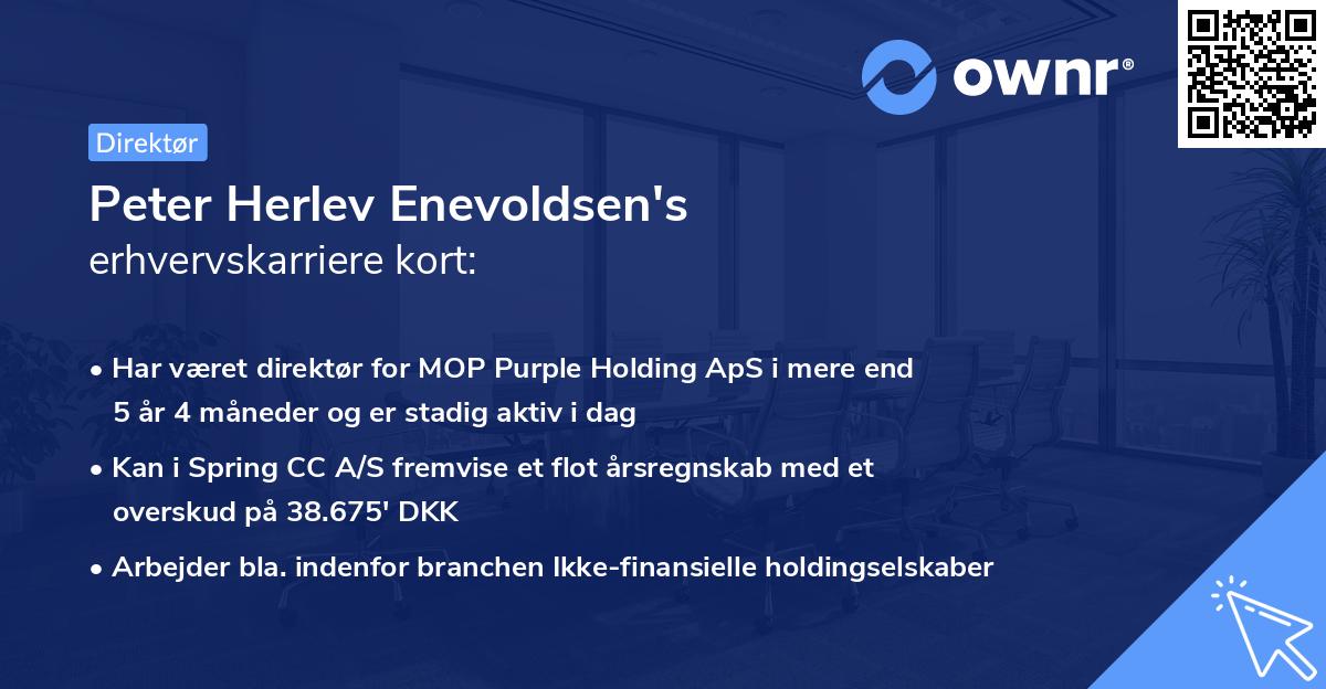 Peter Herlev Enevoldsen's erhvervskarriere kort