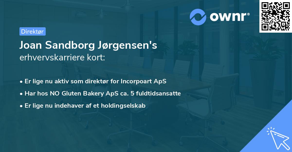 Joan Sandborg Jørgensen's erhvervskarriere kort