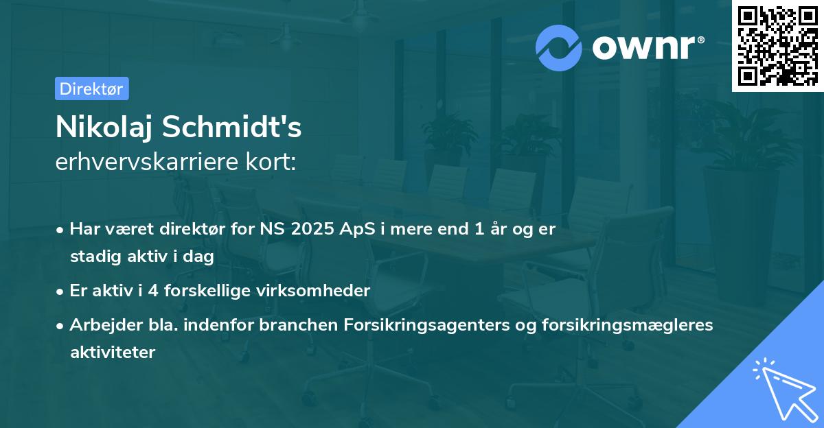 Nikolaj Schmidt's erhvervskarriere kort
