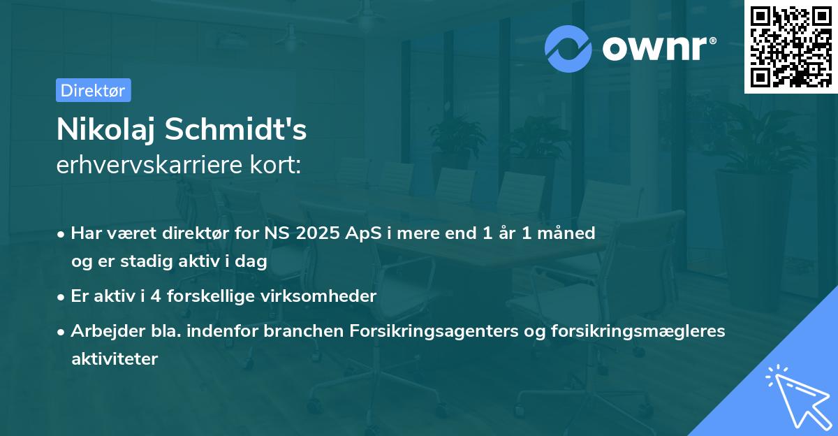 Nikolaj Schmidt's erhvervskarriere kort