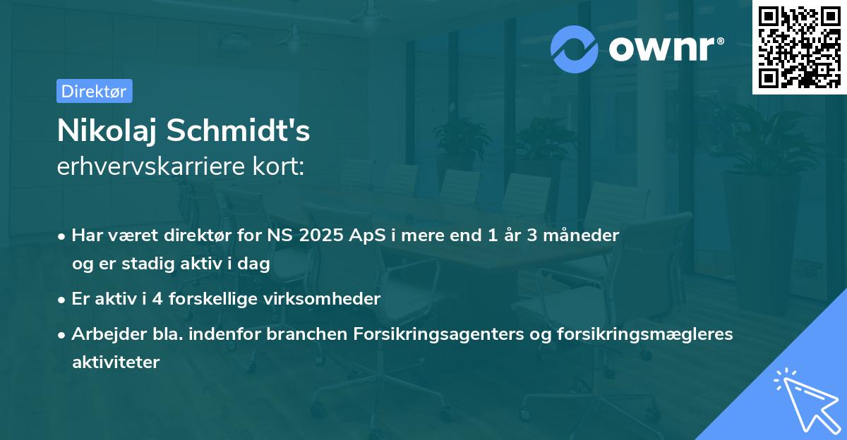 Nikolaj Schmidt's erhvervskarriere kort