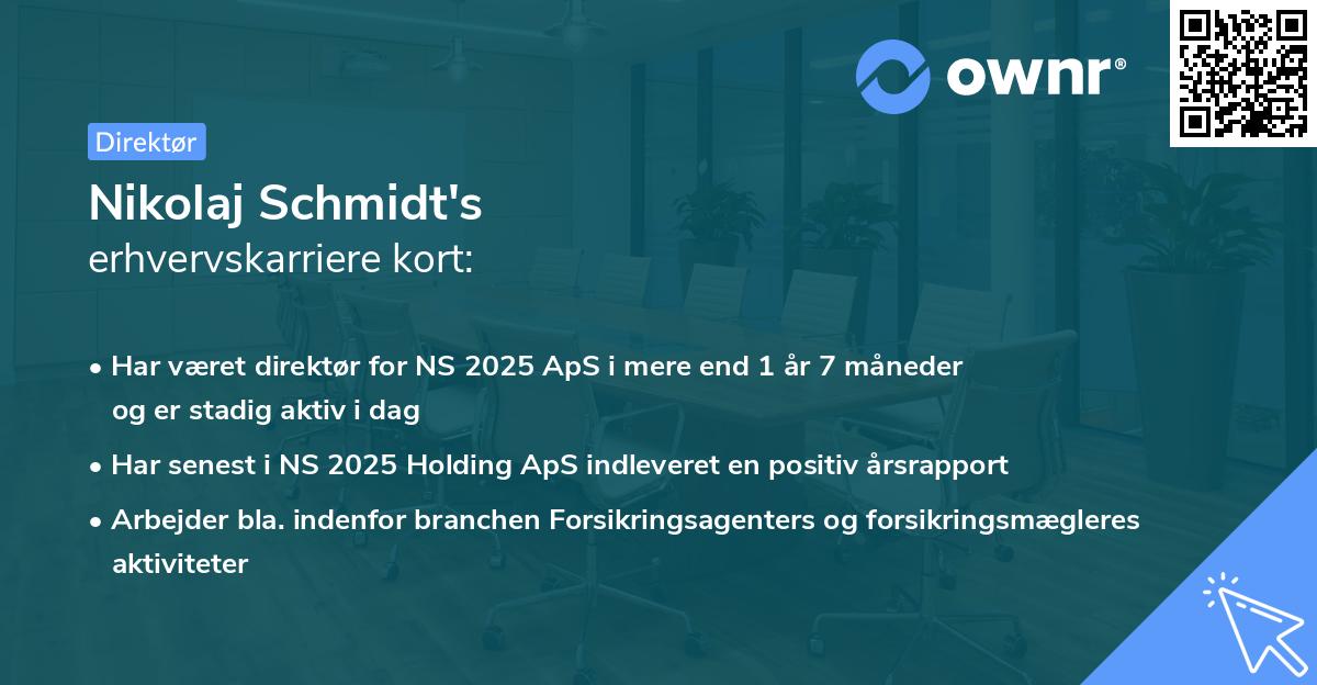 Nikolaj Schmidt's erhvervskarriere kort