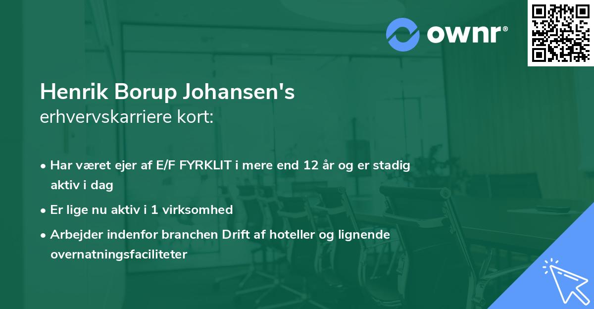 Henrik Borup Johansen's erhvervskarriere kort