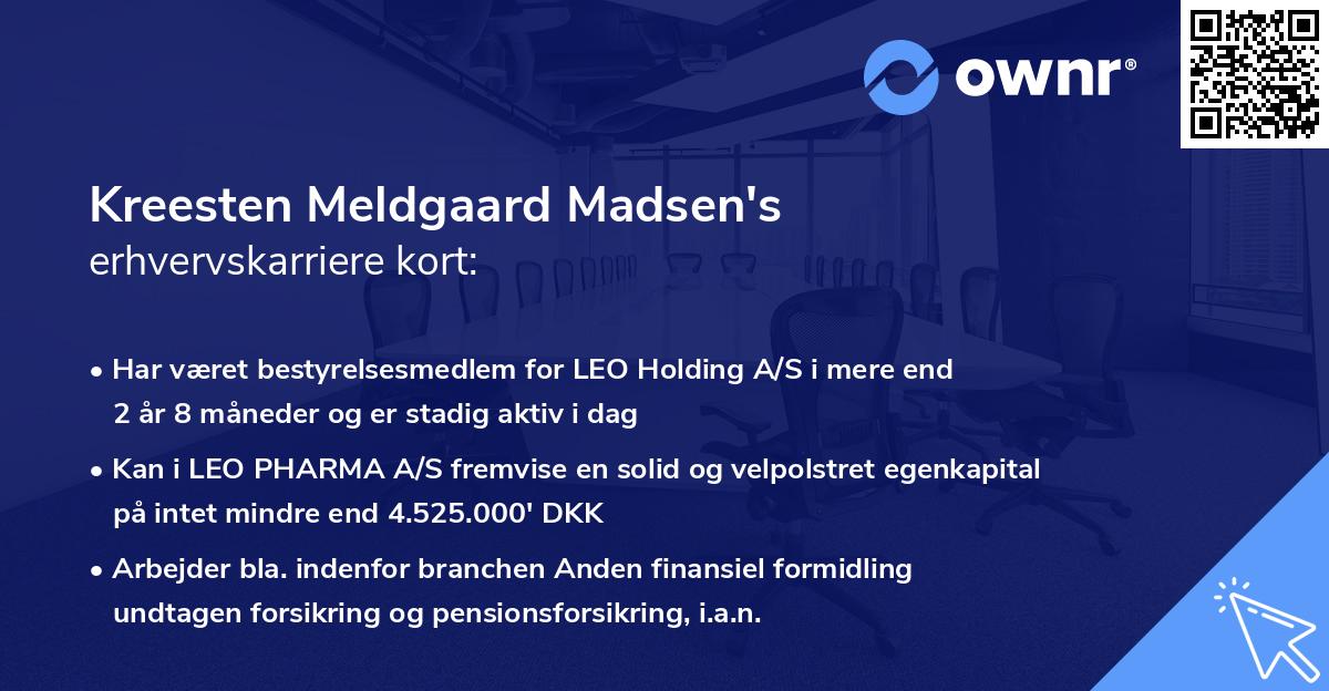 Kreesten Meldgaard Madsen's erhvervskarriere kort