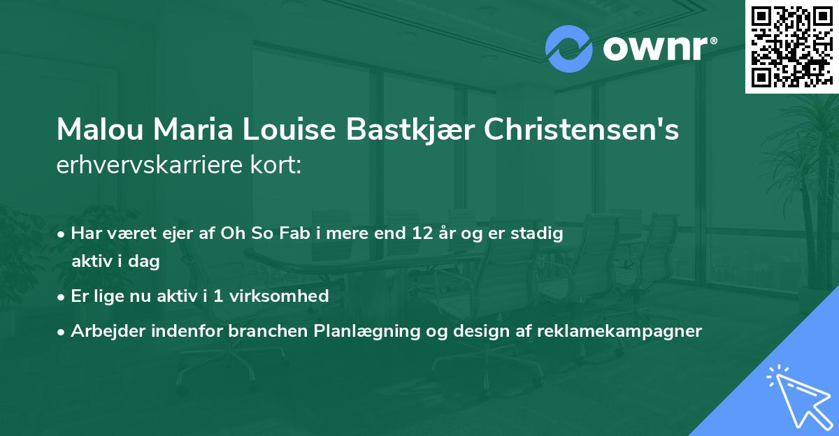 Malou Maria Louise Bastkjær Christensen's erhvervskarriere kort