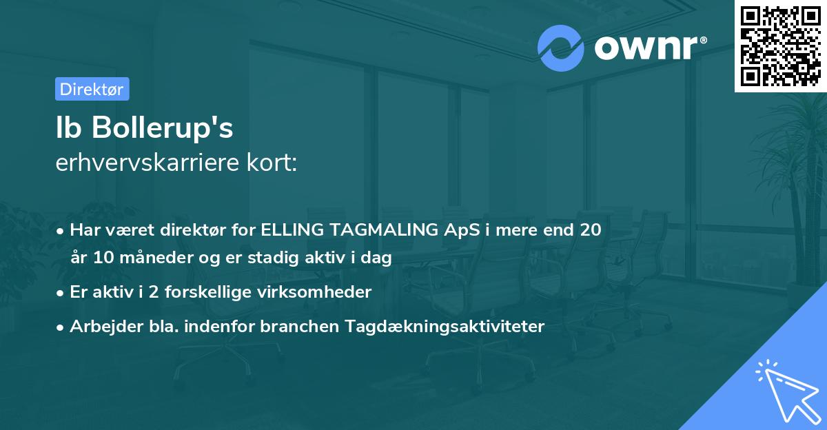 Ib Bollerup's erhvervskarriere kort