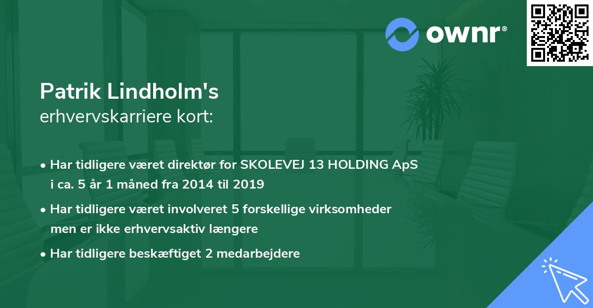 Patrik Lindholm's erhvervskarriere kort
