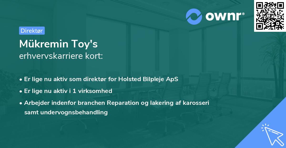 Mükremin Toy's erhvervskarriere kort