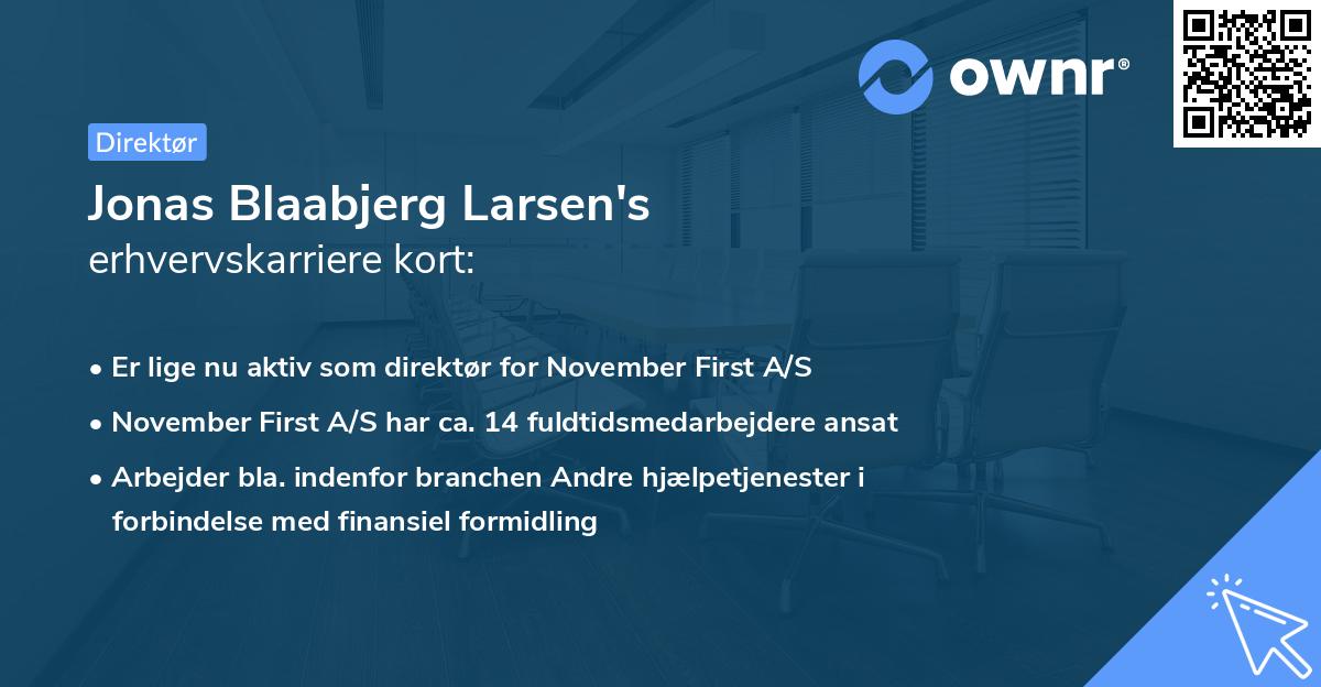 Jonas Blaabjerg Larsen's erhvervskarriere kort