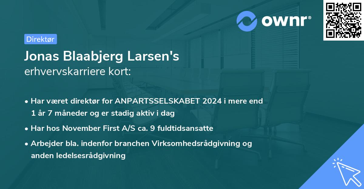Jonas Blaabjerg Larsen's erhvervskarriere kort
