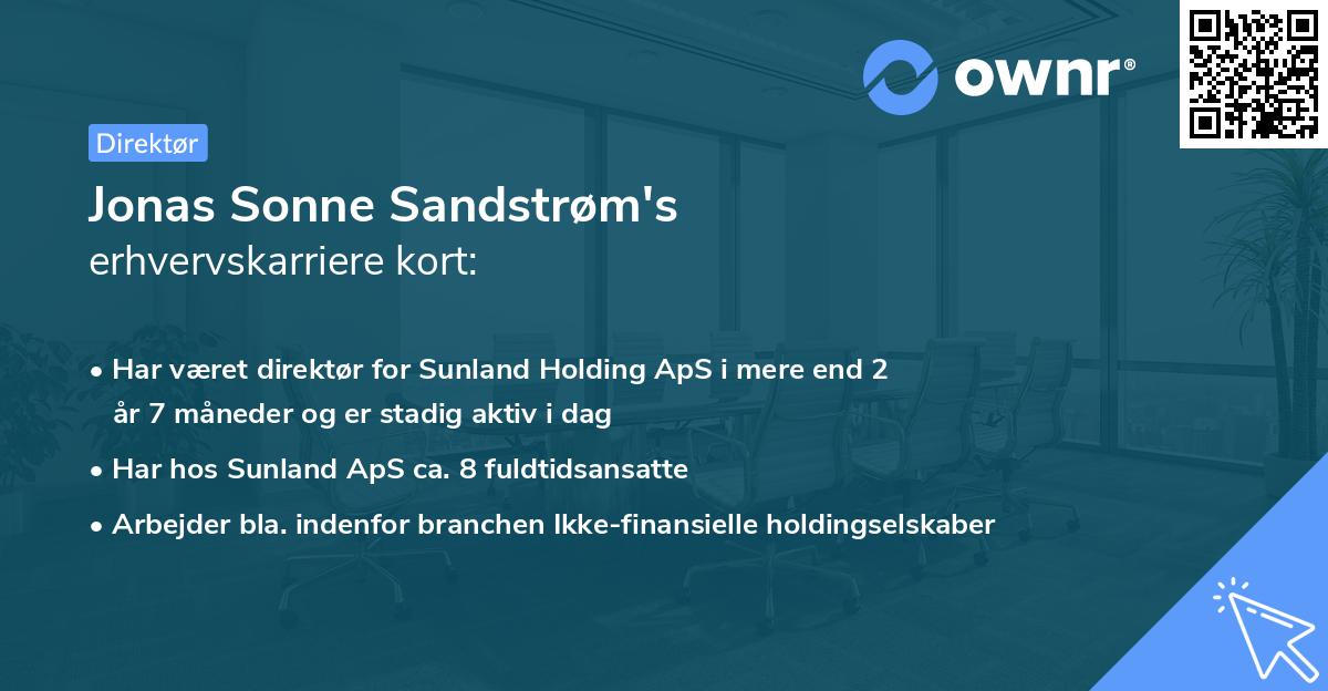 Jonas Sonne Sandstrøm's erhvervskarriere kort