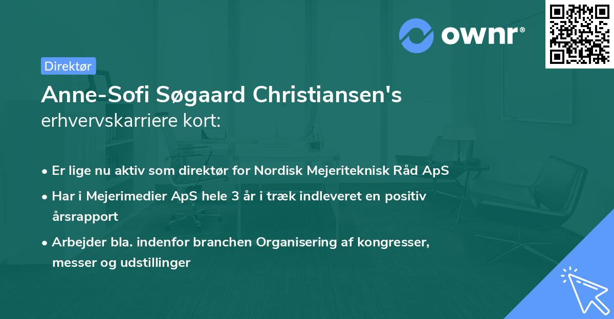 Anne-Sofi Søgaard Christiansen's erhvervskarriere kort
