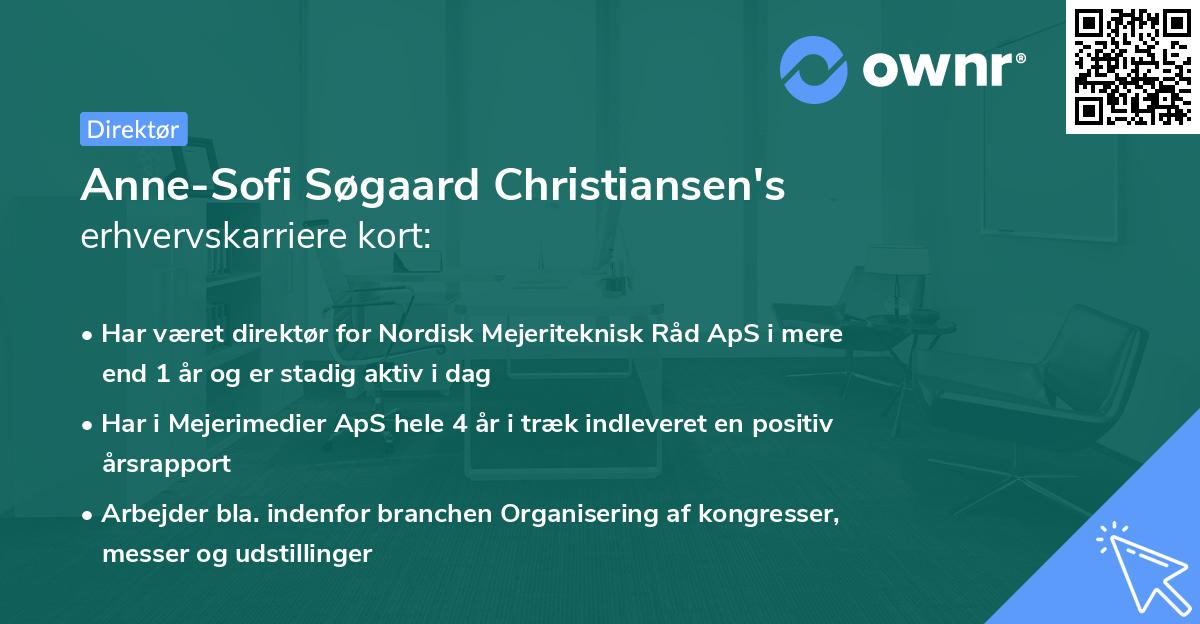 Anne-Sofi Søgaard Christiansen's erhvervskarriere kort