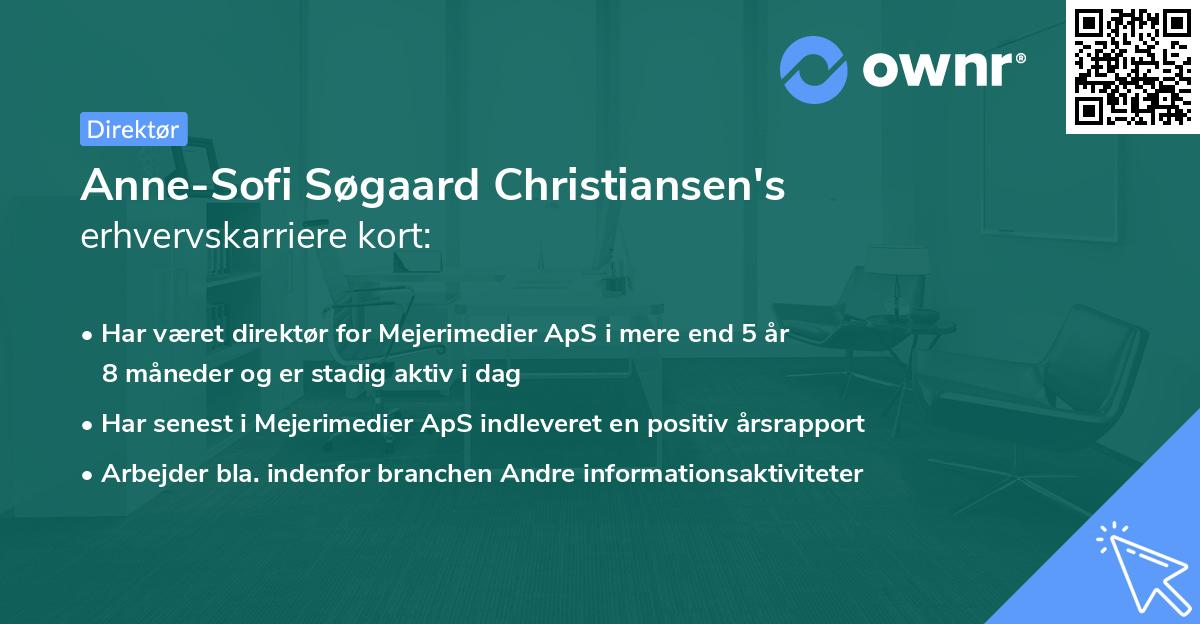 Anne-Sofi Søgaard Christiansen's erhvervskarriere kort