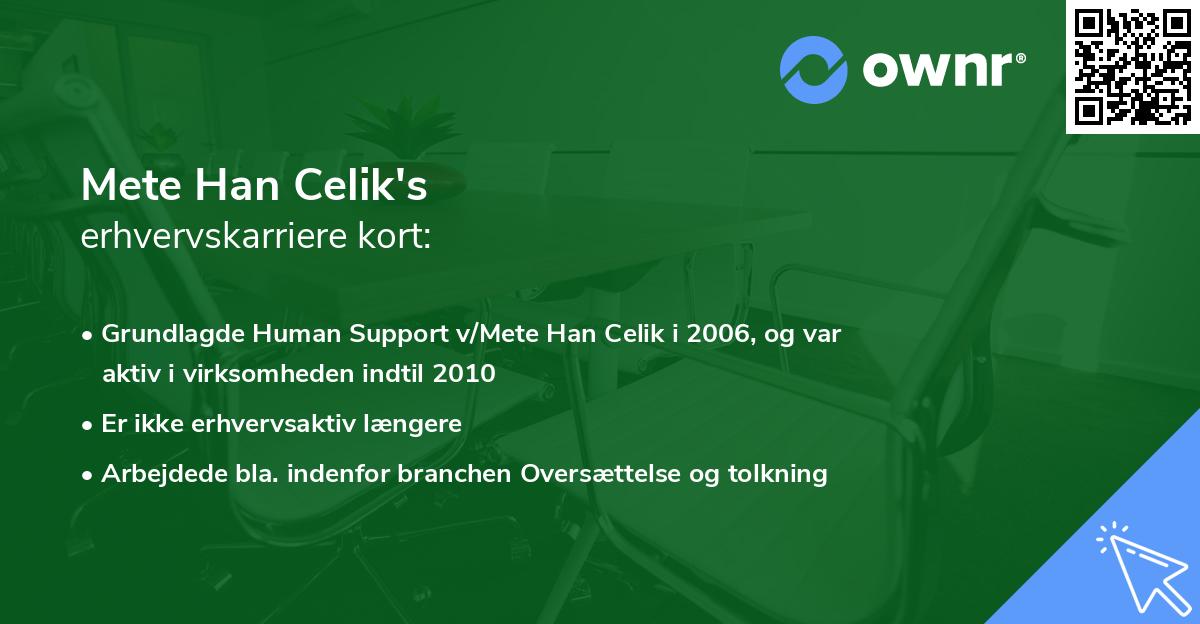 Mete Han Celik's erhvervskarriere kort