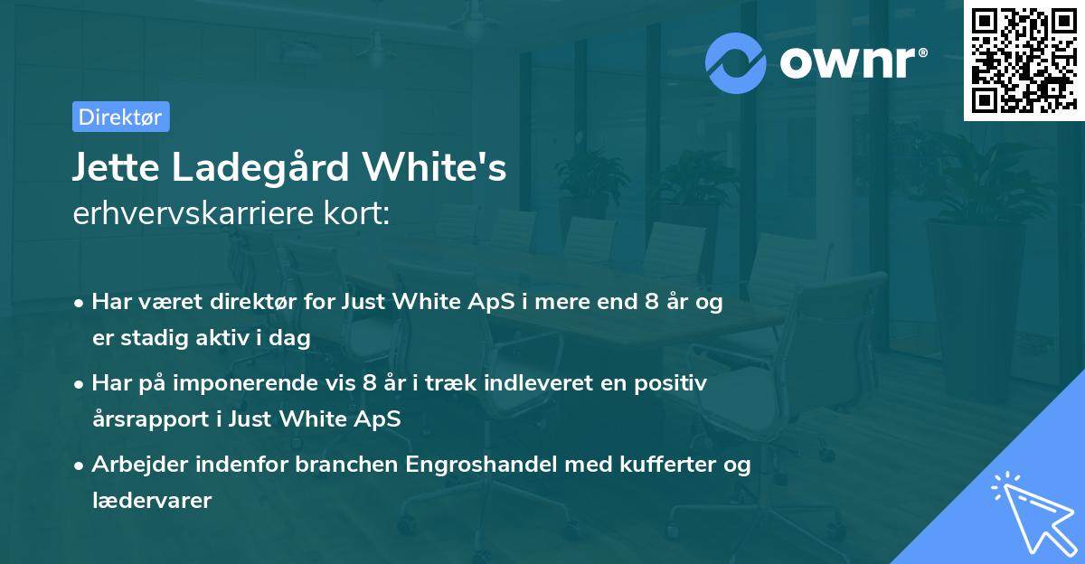 Jette Ladegård White's erhvervskarriere kort