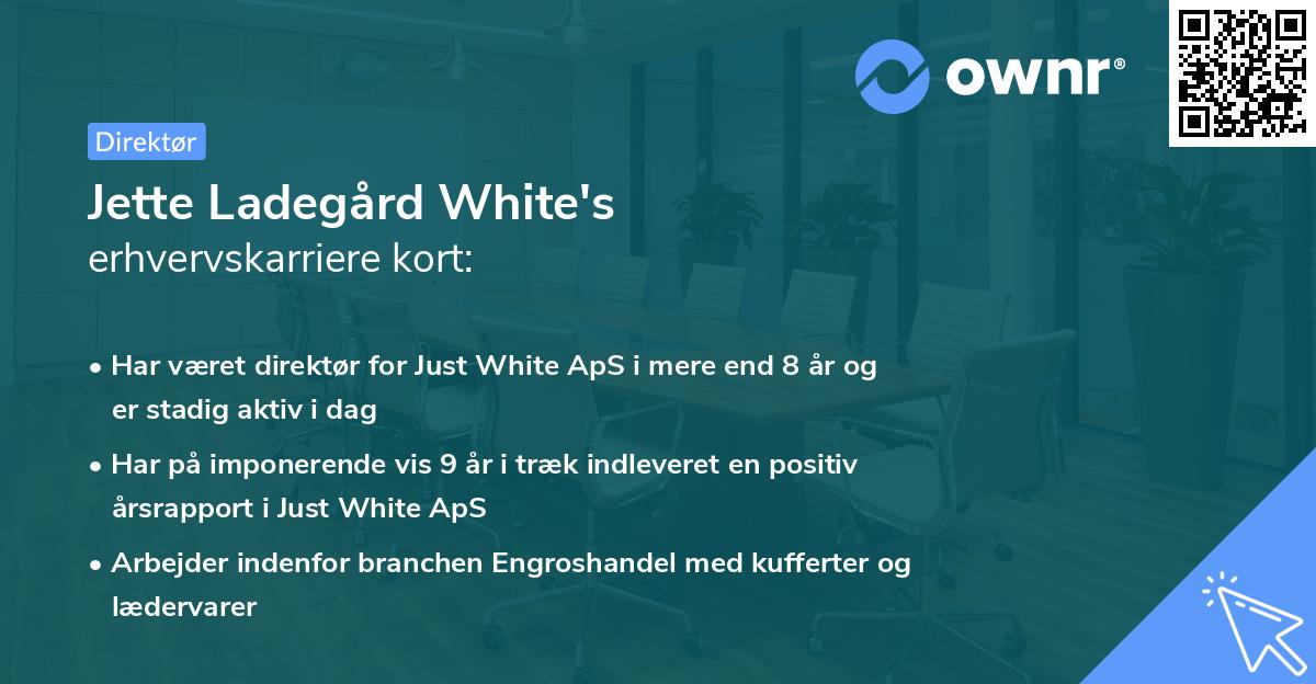 Jette Ladegård White's erhvervskarriere kort