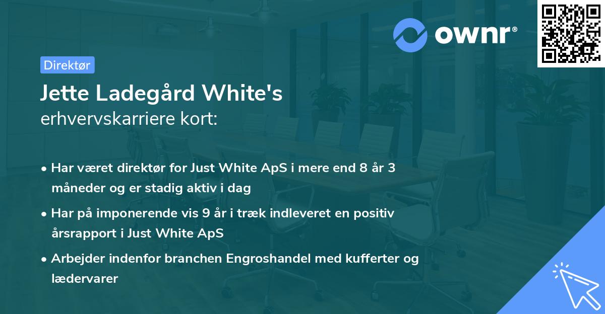 Jette Ladegård White's erhvervskarriere kort