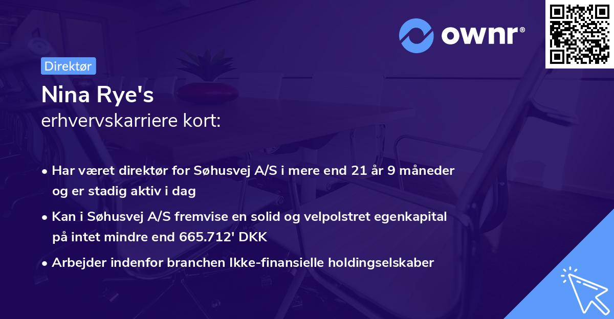 Nina Rye's erhvervskarriere kort