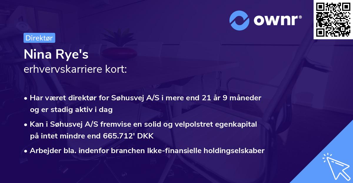 Nina Rye's erhvervskarriere kort