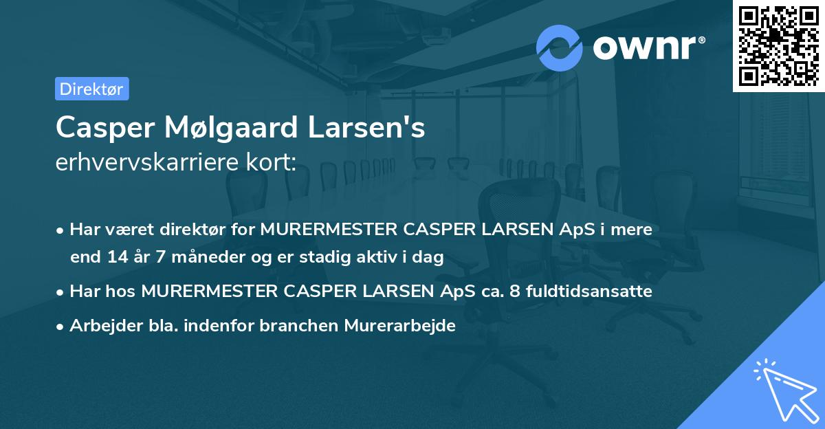 Casper Mølgaard Larsen's erhvervskarriere kort