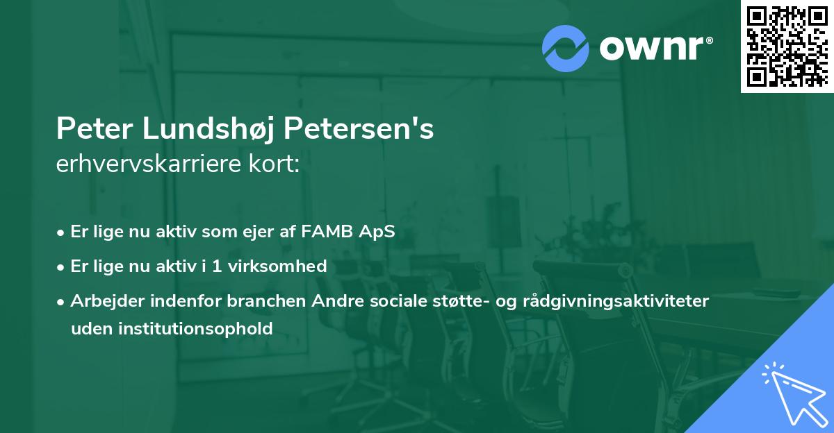 Peter Lundshøj Petersen's erhvervskarriere kort