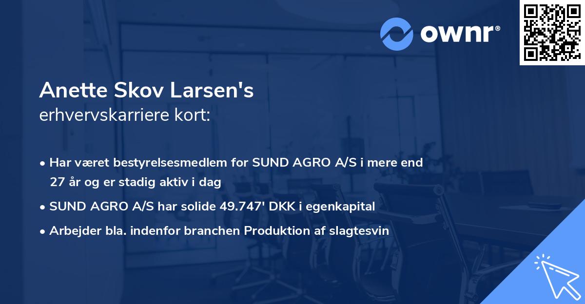 Anette Skov Larsen's erhvervskarriere kort