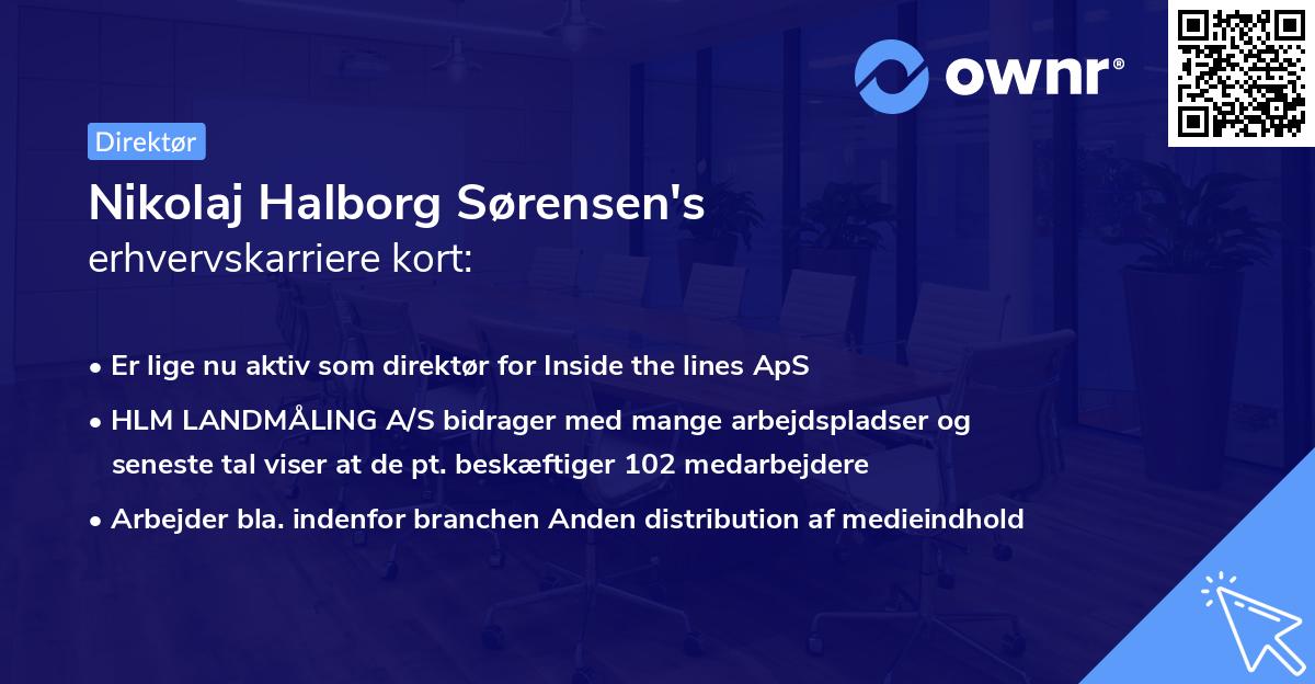 Nikolaj Halborg Sørensen's erhvervskarriere kort