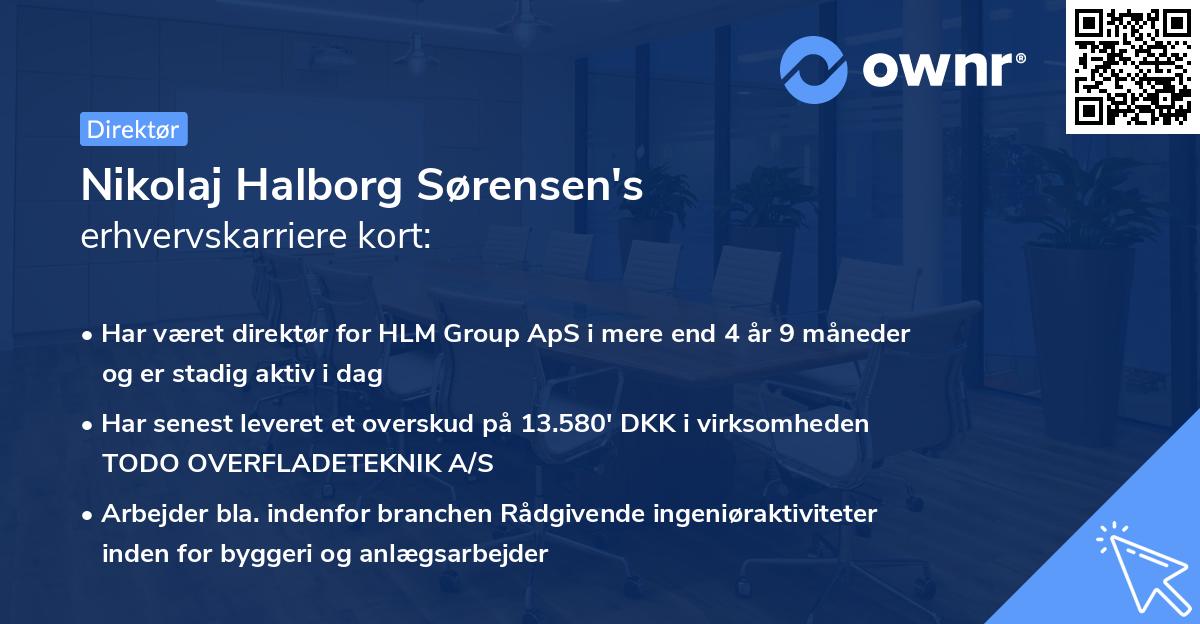 Nikolaj Halborg Sørensen's erhvervskarriere kort