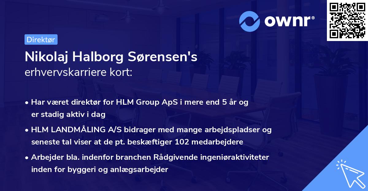 Nikolaj Halborg Sørensen's erhvervskarriere kort