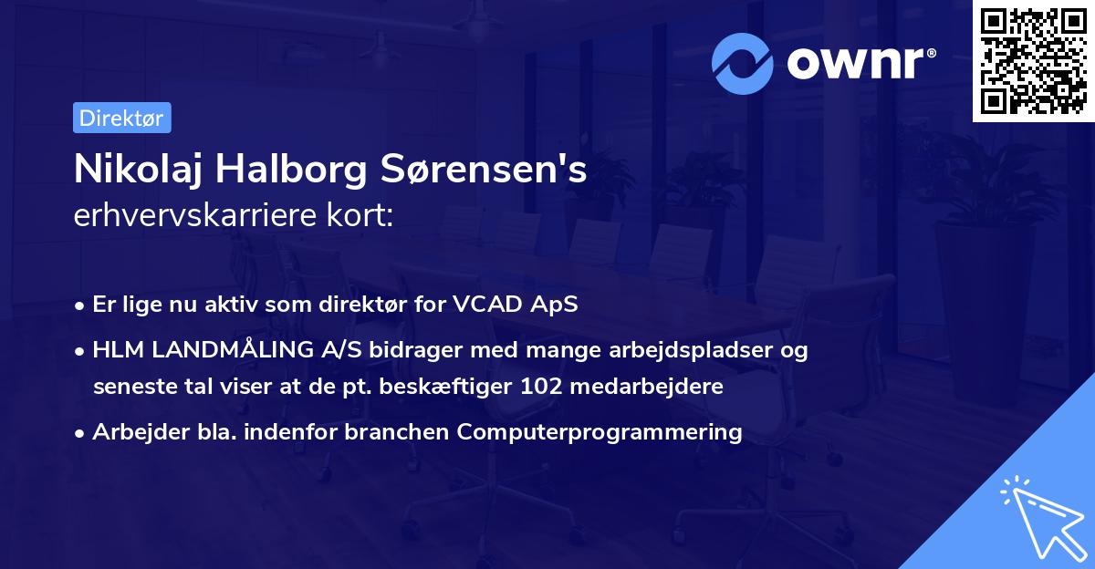 Nikolaj Halborg Sørensen's erhvervskarriere kort