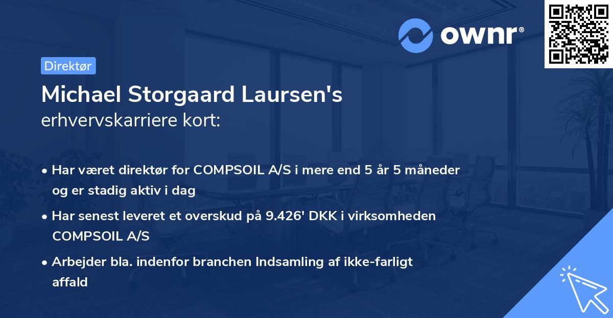 Michael Storgaard Laursen's erhvervskarriere kort