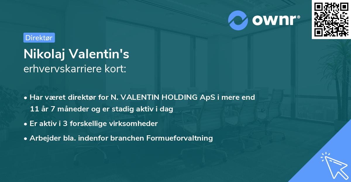 Nikolaj Valentin's erhvervskarriere kort