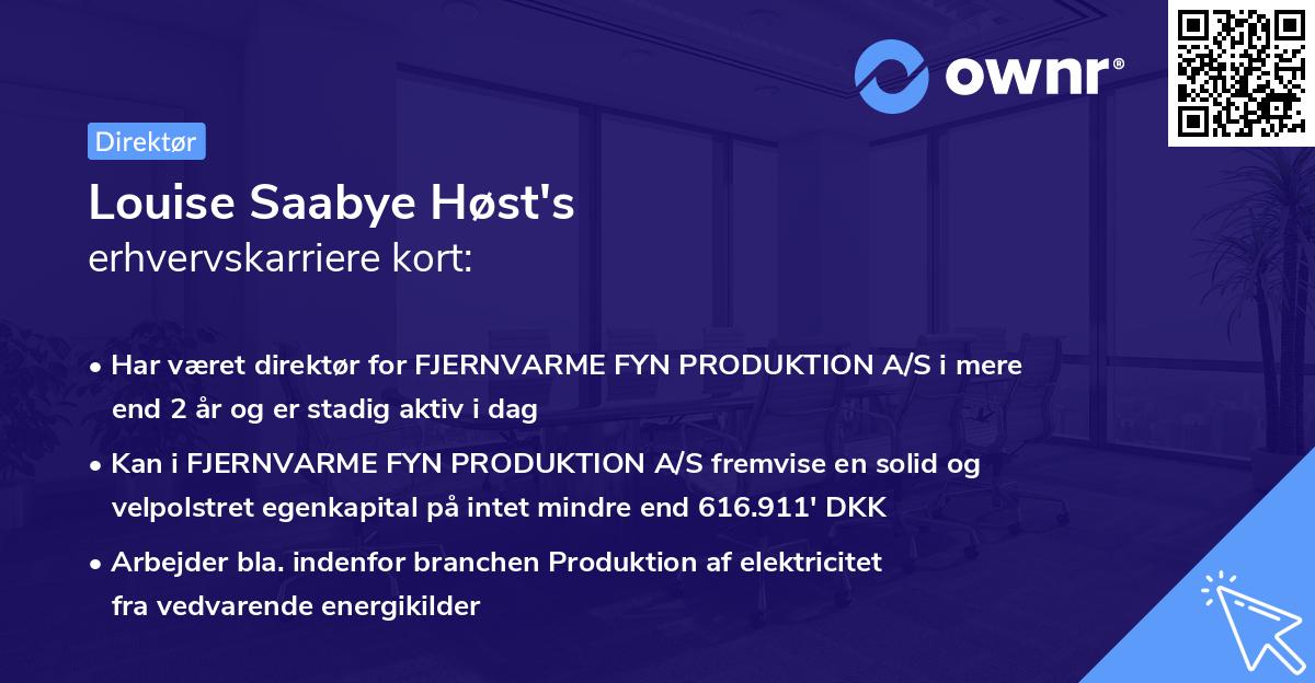 Louise Saabye Høst's erhvervskarriere kort