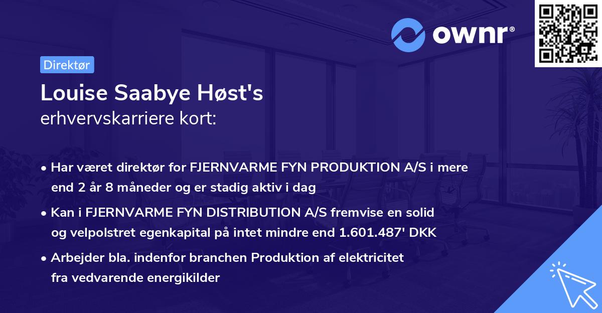 Louise Saabye Høst's erhvervskarriere kort