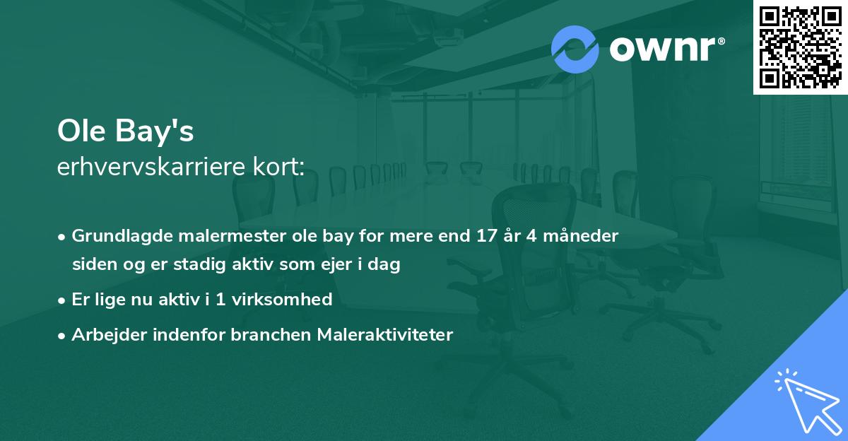 Ole Bay's erhvervskarriere kort