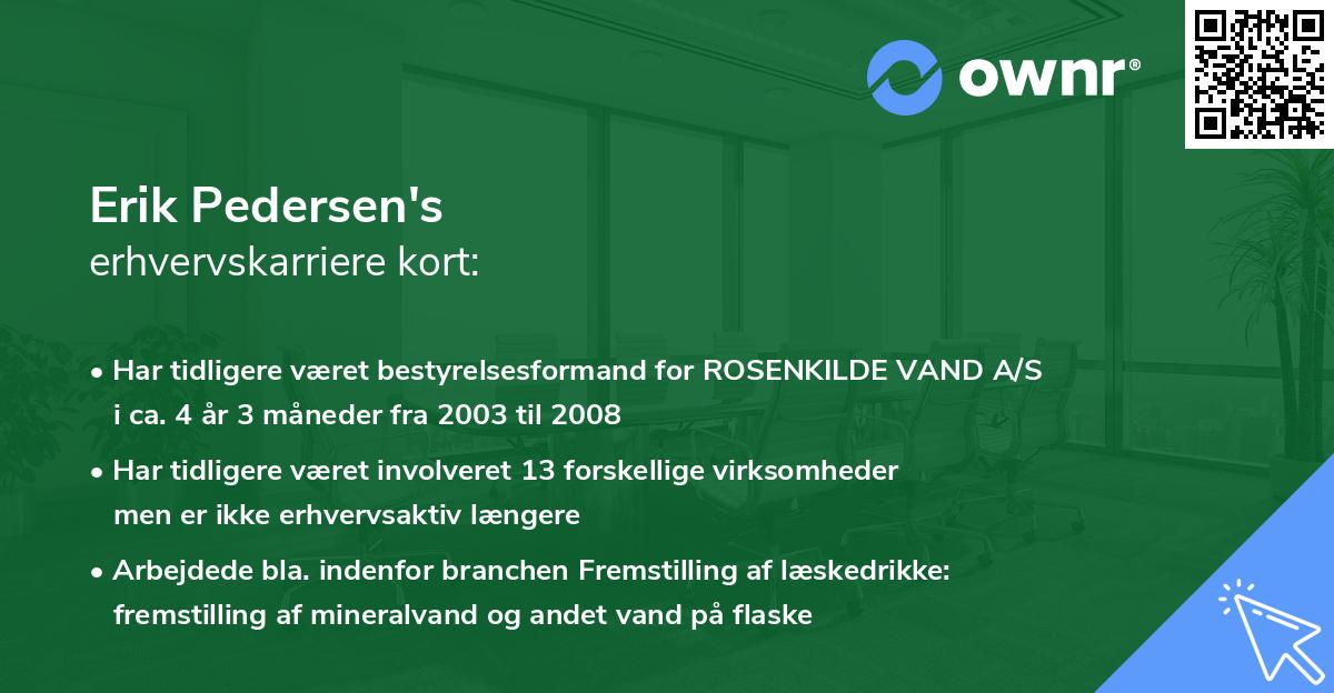 Erik Pedersen's erhvervskarriere kort