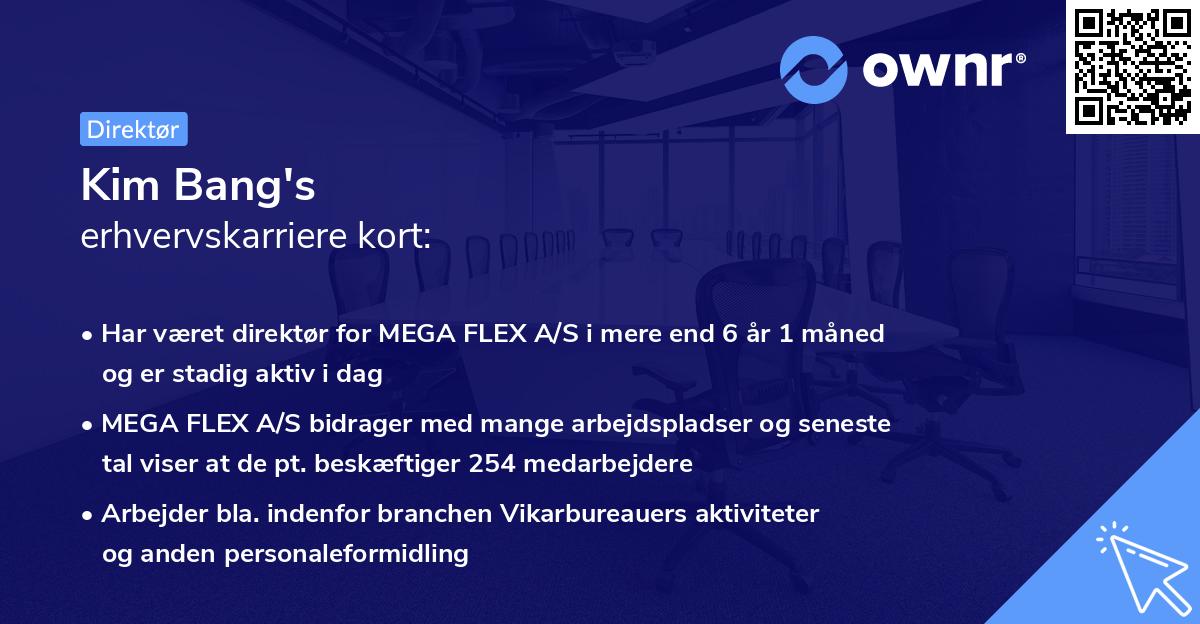Kim Bang's erhvervskarriere kort
