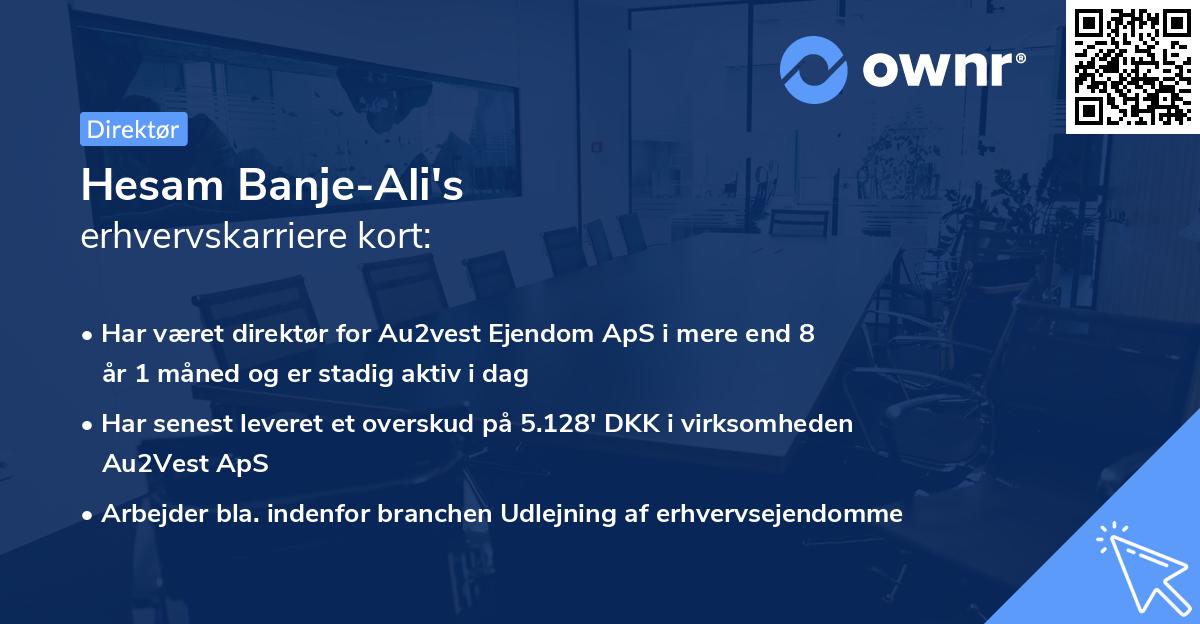 Hesam Banje-Ali's erhvervskarriere kort