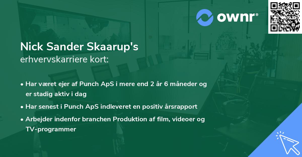 Nick Sander Skaarup's erhvervskarriere kort