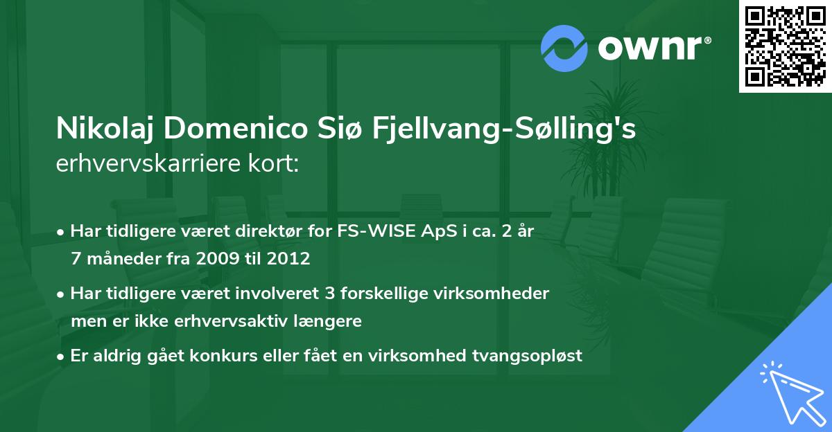 Nikolaj Domenico Siø Fjellvang-Sølling's erhvervskarriere kort