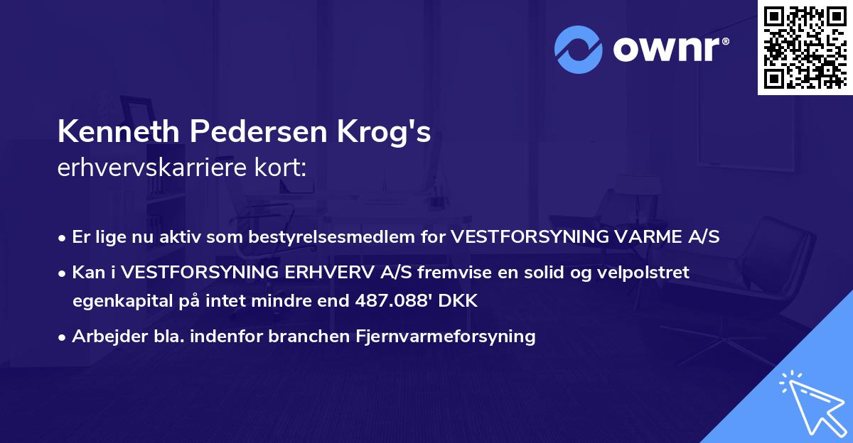 Kenneth Pedersen Krog's erhvervskarriere kort
