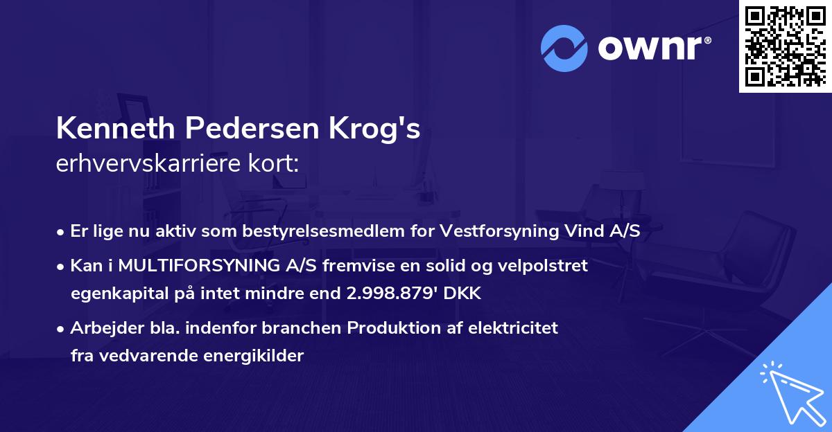 Kenneth Pedersen Krog's erhvervskarriere kort